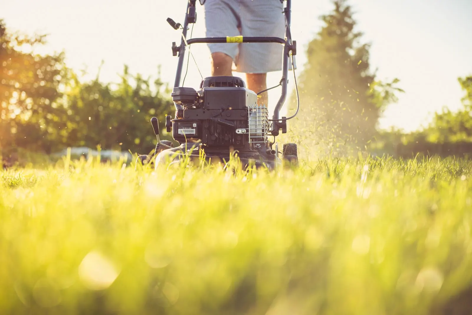 A lawn mower cutting green grass on a clear day