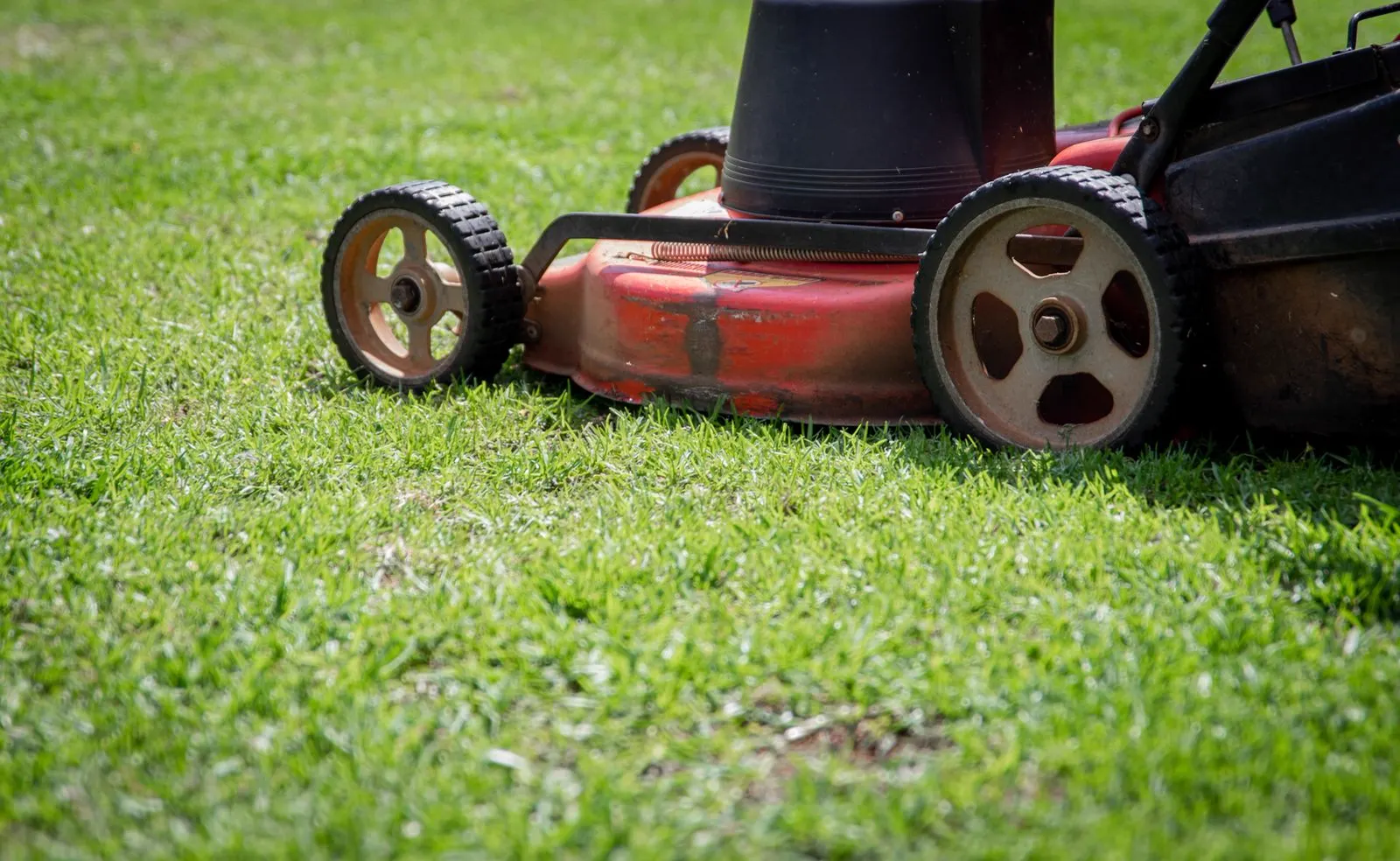 A push mower on a vivid green lawn