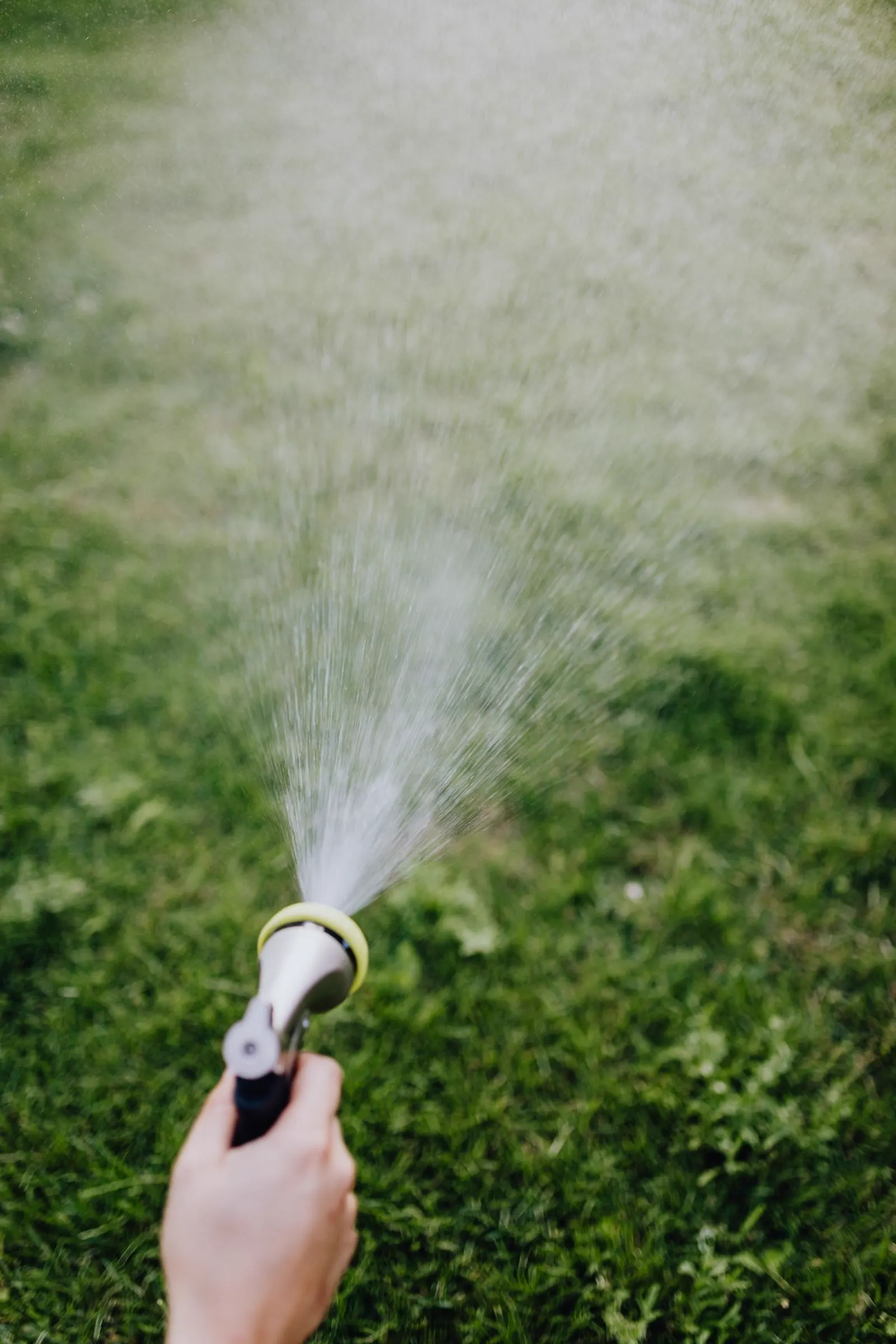 A hand watering a sunlit lawn with a garden hose