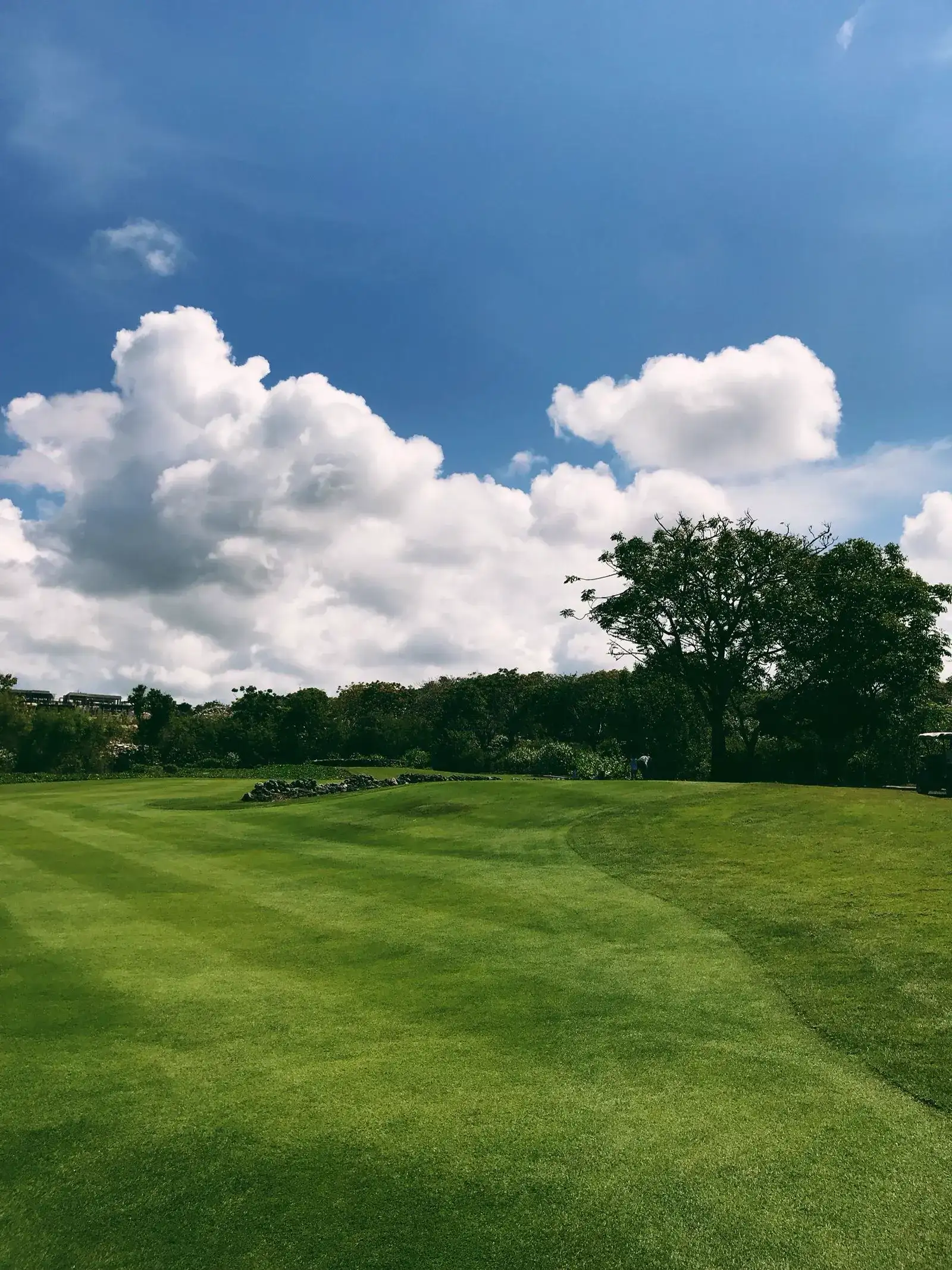 Thick, evenly green turf under a blue North Texas-style sky