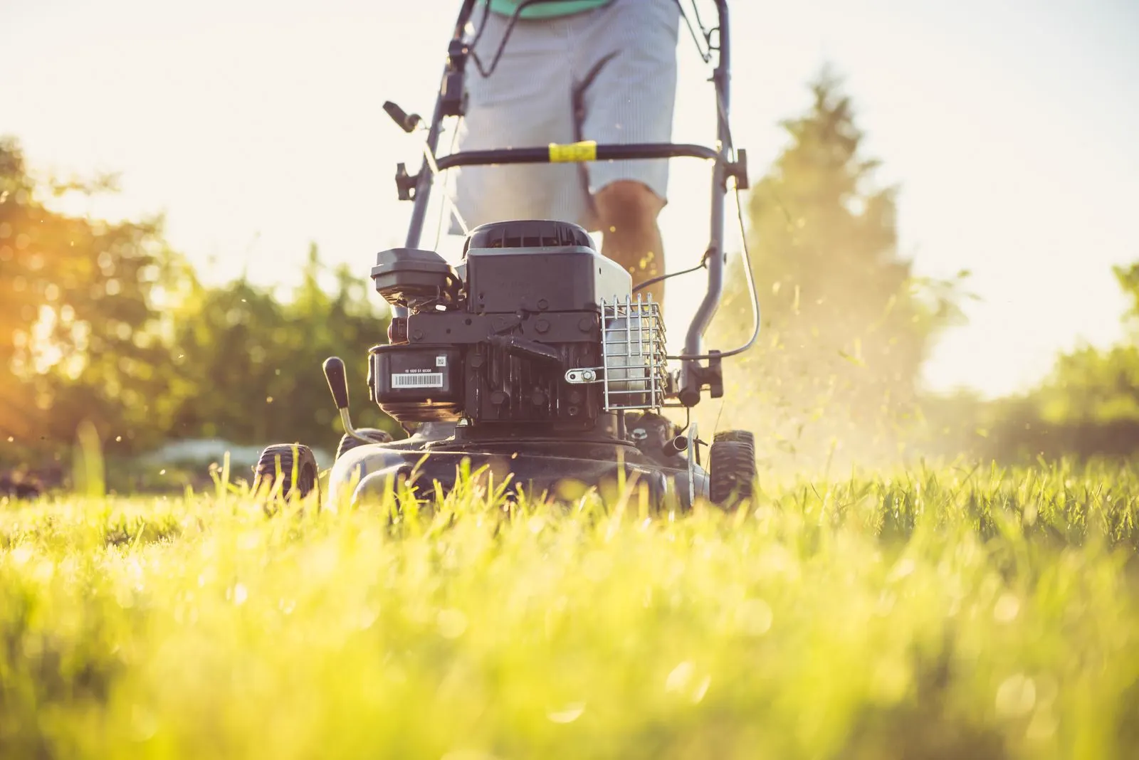 Push mower cutting grass in low evening sun